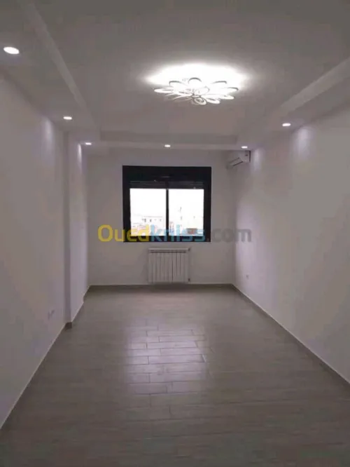 BA13. Plaque de plâtre. Peinture 