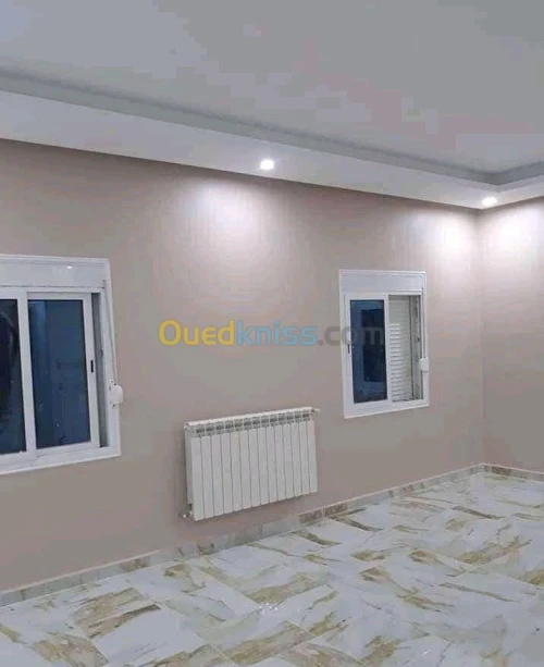 BA13. Plaque de plâtre. Peinture 