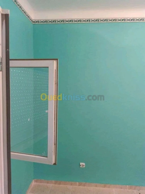 BA13. Plaque de plâtre. Peinture 