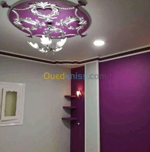 BA13. Plaque de plâtre. Peinture 