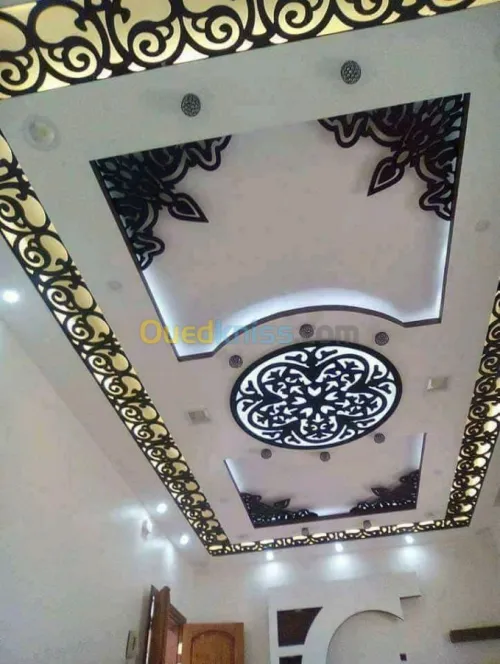 BA13. Plaque de plâtre. Peinture 