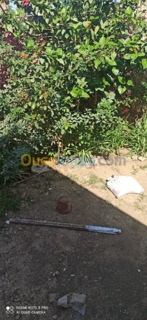 Vente Niveau De Villa F3 Boumerdes El kharrouba
