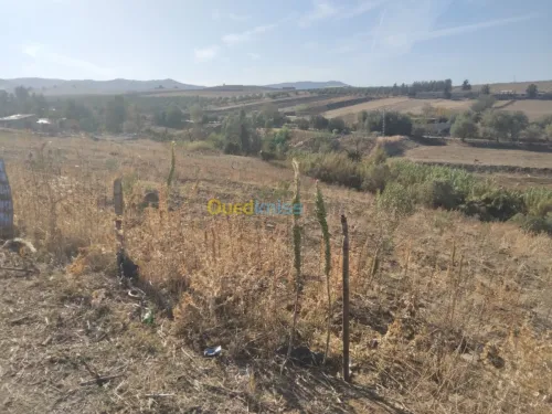 Vente Terrain Tizi ouzou Ain zaouia