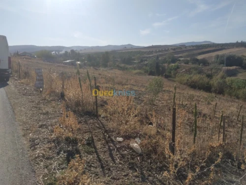 Vente Terrain Tizi ouzou Ain zaouia