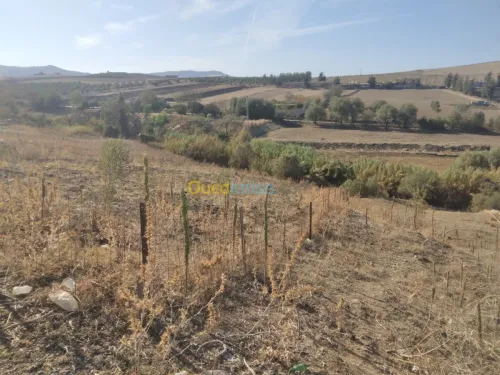 Vente Terrain Tizi ouzou Ain zaouia