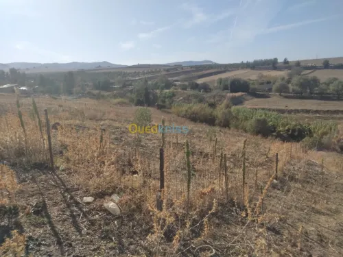 Vente Terrain Tizi ouzou Ain zaouia