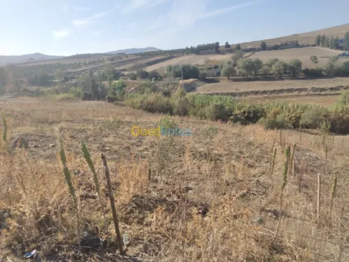 Vente Terrain Tizi ouzou Ain zaouia