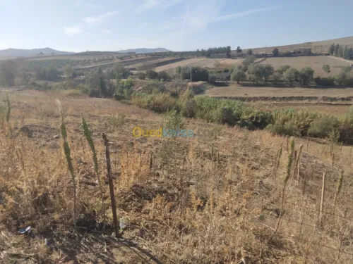 Vente Terrain Tizi ouzou Ain zaouia