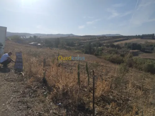 Vente Terrain Tizi ouzou Ain zaouia