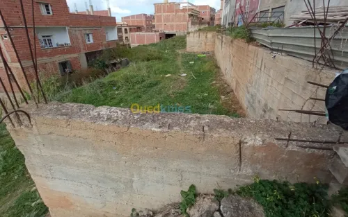 Vente Terrain Constantine Hamma bouziane