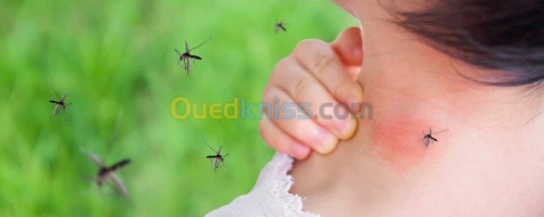 Nettoyage et éradication des nuisibles