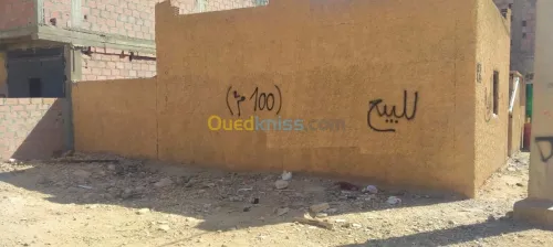 Vente Carcasse Biskra Branis