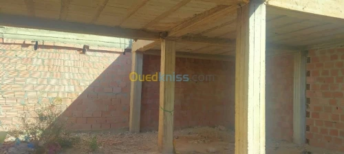 Vente Carcasse Biskra Branis