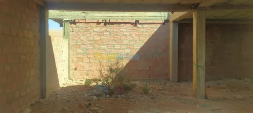 Vente Carcasse Biskra Branis