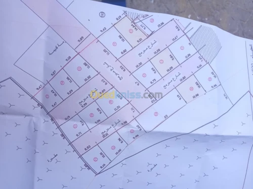 Vente Terrain Batna Batna
