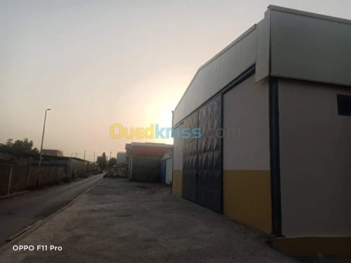 Location Hangar Alger Rouiba