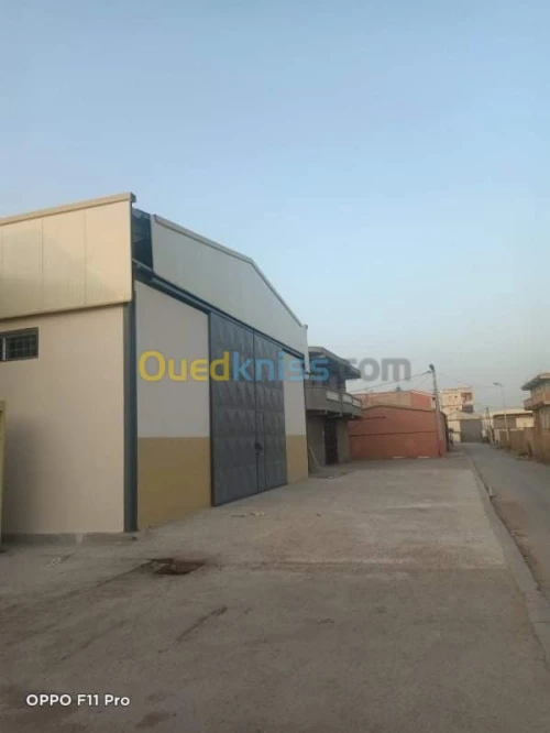 Location Hangar Alger Rouiba