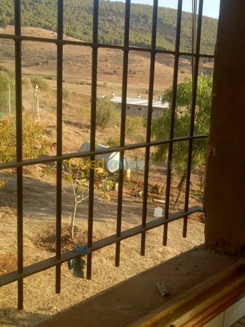 Vente Terrain Sidi bel abbes Ain el berd
