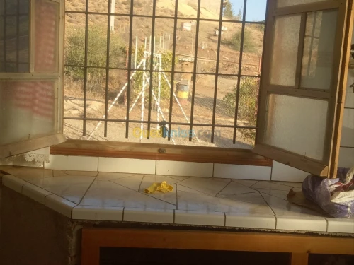 Vente Terrain Sidi bel abbes Ain el berd