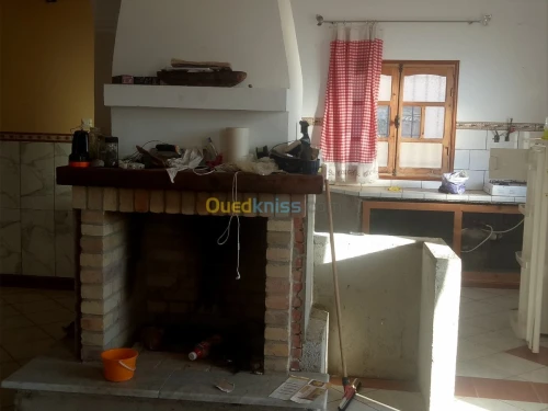 Vente Terrain Sidi bel abbes Ain el berd