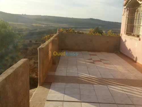 Vente Terrain Sidi bel abbes Ain el berd