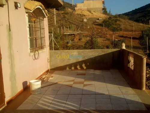 Vente Terrain Sidi bel abbes Ain el berd