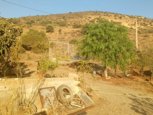 Vente Terrain Sidi bel abbes Ain el berd