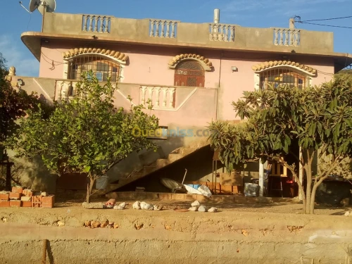 Vente Terrain Sidi bel abbes Ain el berd
