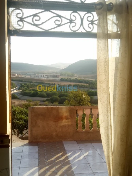 Vente Terrain Sidi bel abbes Ain el berd