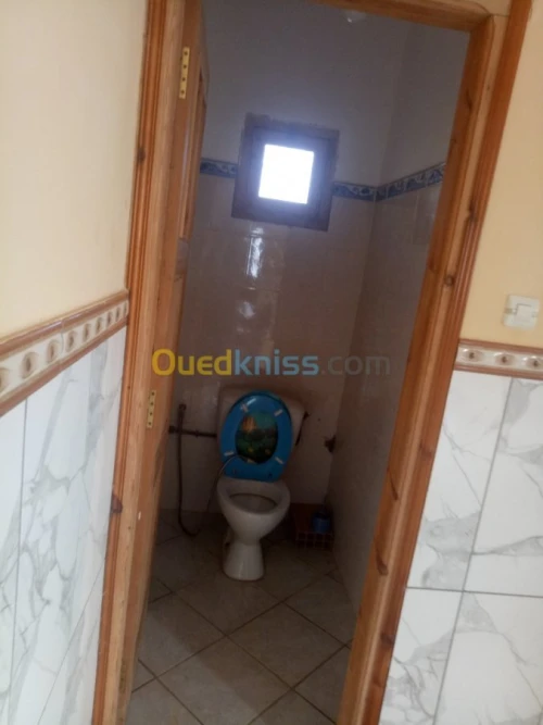 Vente Terrain Sidi bel abbes Ain el berd