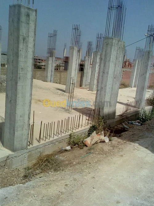 Vente Terrain Boumerdes El kharrouba
