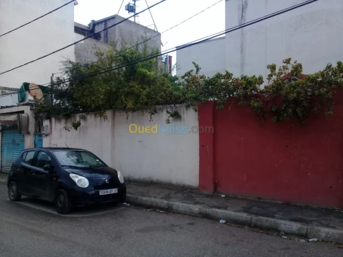 Vente Appartement Annaba Annaba