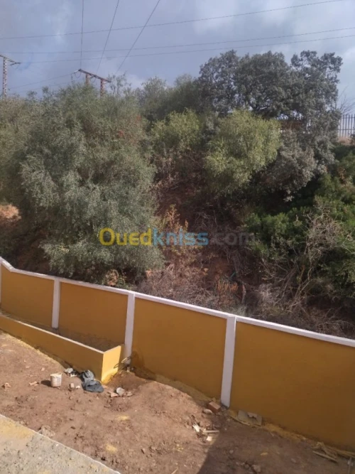 Vente Villa Aïn Defla Miliana