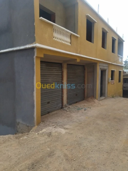 Vente Villa Aïn Defla Miliana
