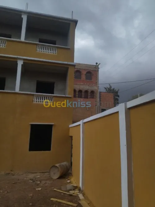 Vente Villa Aïn Defla Miliana
