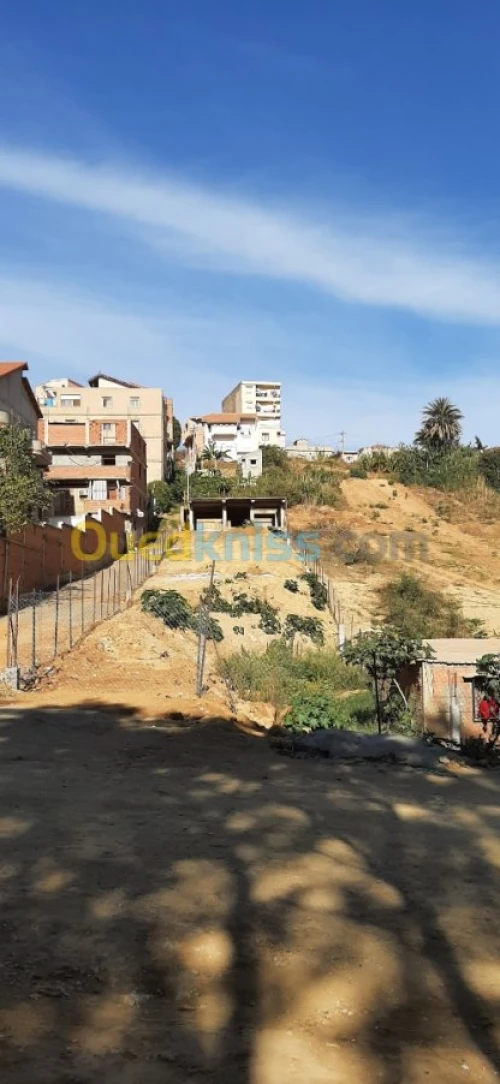 Vente Terrain Alger Draria
