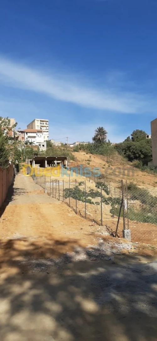 Vente Terrain Alger Draria