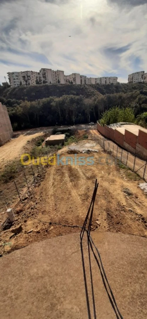 Vente Terrain Alger Draria