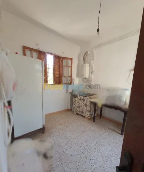 Vente Immeuble Batna Sefiane