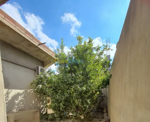 Vente Immeuble Batna Sefiane