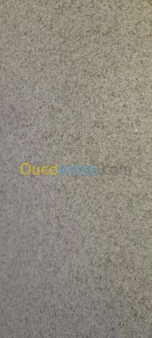 Traitement de façade en monocouche 