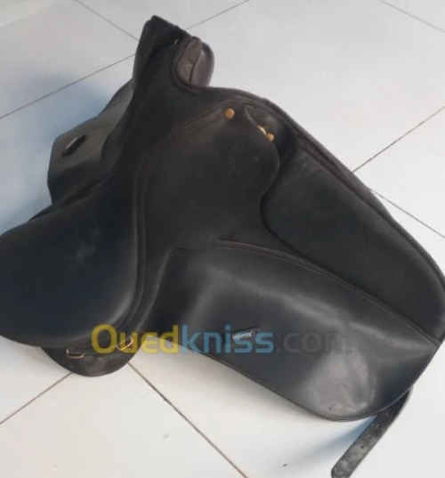 Selle wintec pro professionnel