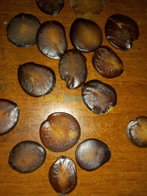 Graines de nigelle de type DRT santal 