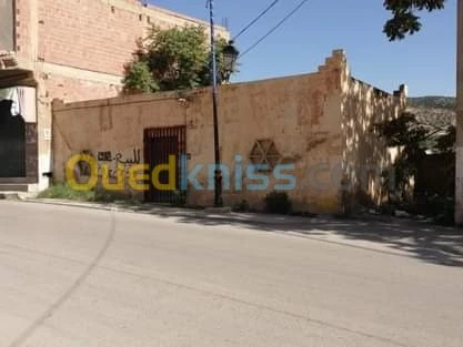 Vente Niveau De Villa F3 Batna Arris