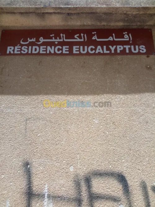 Vente Appartement F3 Sidi bel abbes Sidi bel abbes