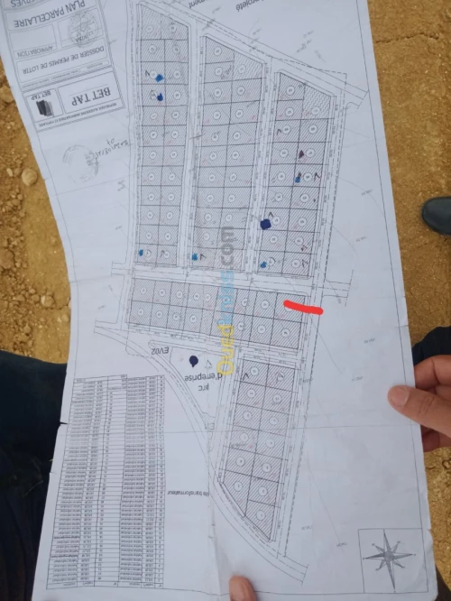 Vente Terrain Saida Ouled khaled