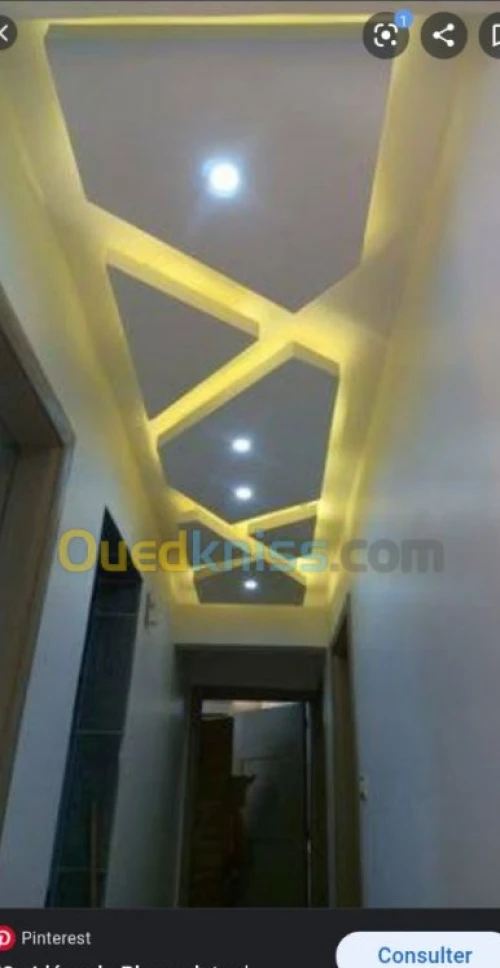 Placoplâtre PVC faux plafond. BA13 pla