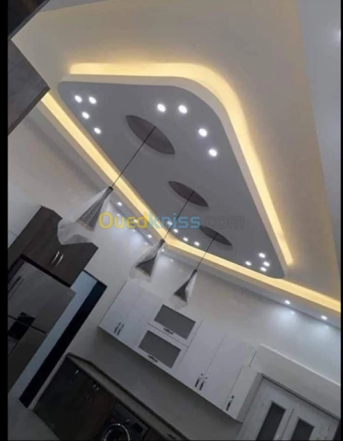 Placoplâtre PVC faux plafond. BA13 pla
