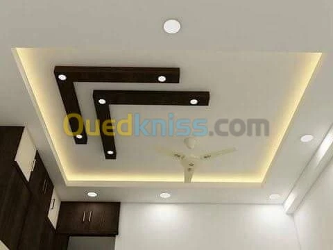 Placoplâtre PVC faux plafond. BA13 pla