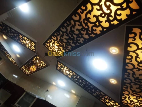 Placoplâtre PVC faux plafond. BA13 pla